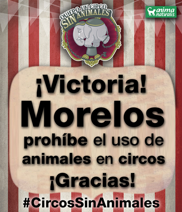 Por mayoría, diputados de Morelos prohíben circos con animales