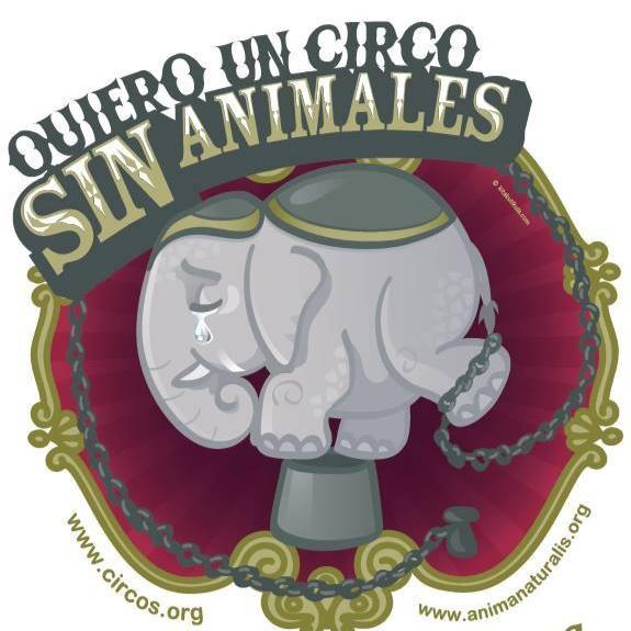 ¡Pide a Comisiones del Congreso del estado de Veracruz que dictaminen a favor de iniciativa para prohibir circos con animales!