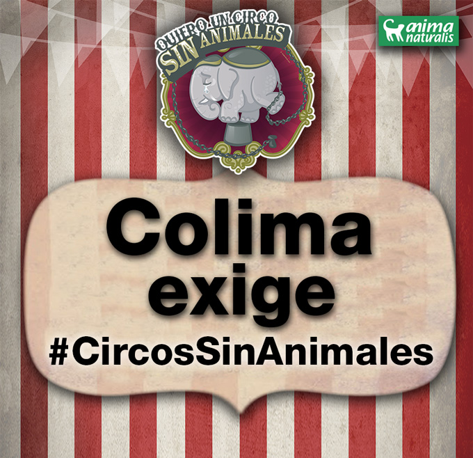 ¡Pide a diputados de Colima que dictaminen a favor iniciativa para prohibir circos con animales en el estado!
