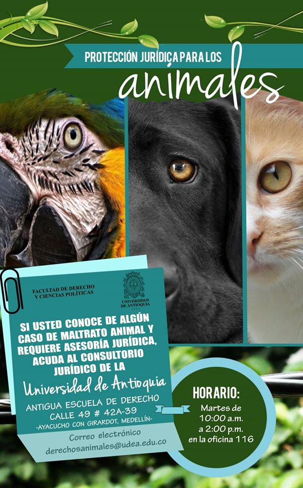 Universidad de Antioquia hace asesorías jurídicas para protección de animales