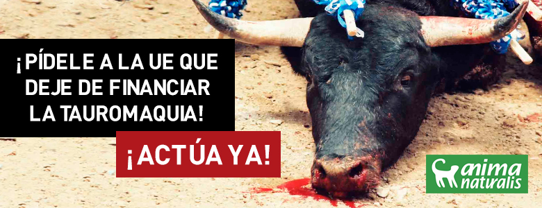 AnimaNaturalis presiona a la UE para poner fin a las subvenciones de las corridas de toros. ¡Actúa ahora!
