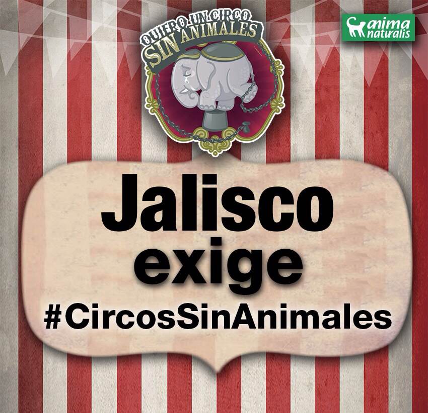 ¡Jalisco quiere #CircosSinAnimales!