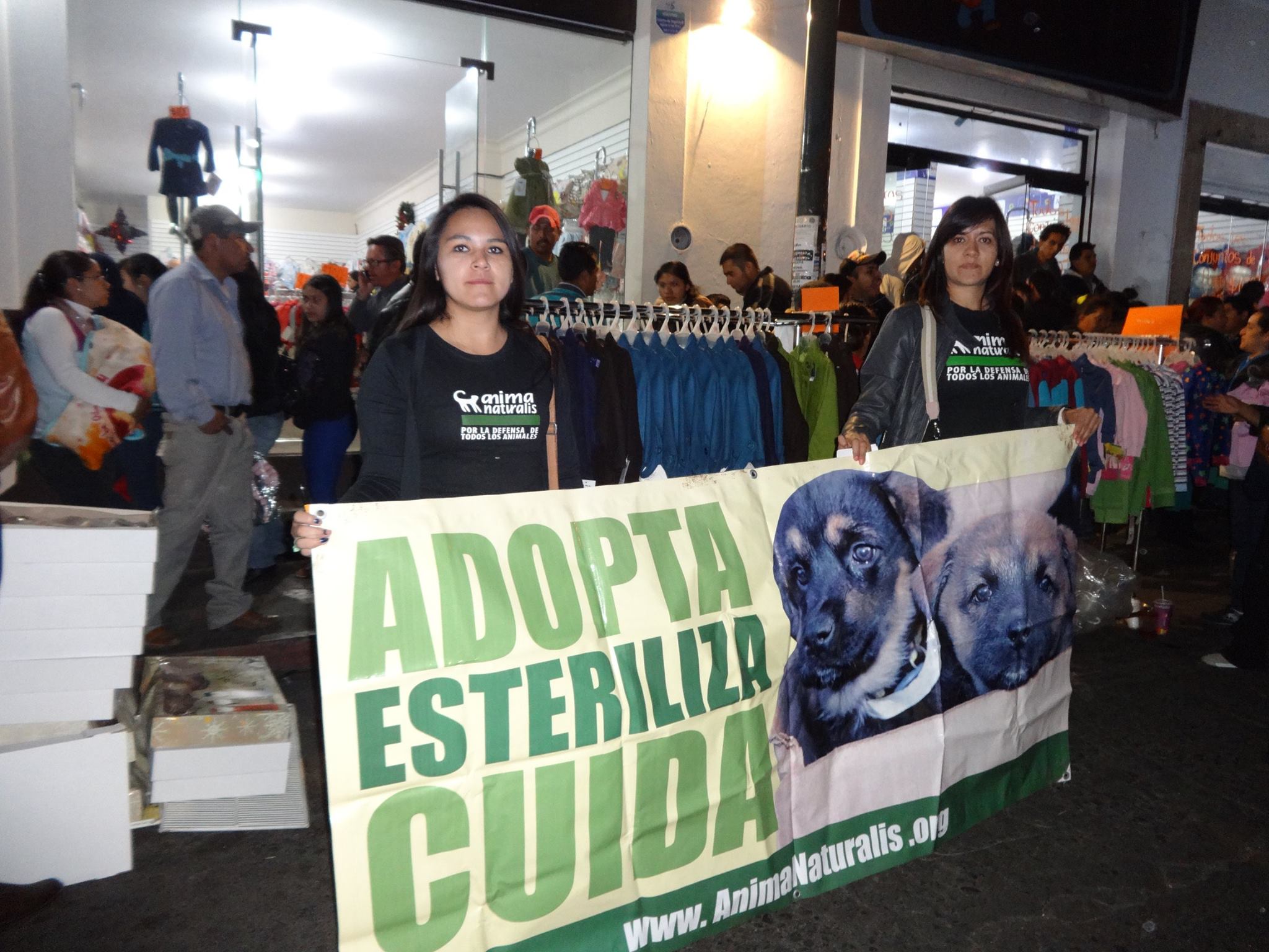Exitosa campaña de concienciación “No compres, adopta” en Morelia