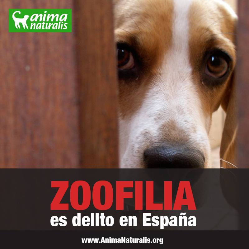  España modifica el Código Penal sobre el maltrato animal