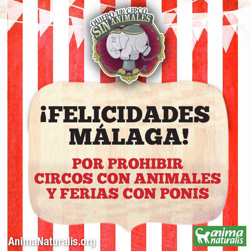 Málaga prohíbe por unanimidad los circos con animales y las ferias de ponis