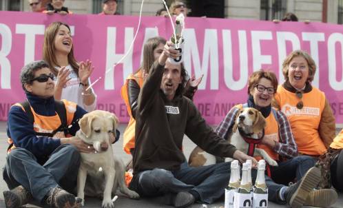 Madrid prohibirá el sacrificio de animales abandonados