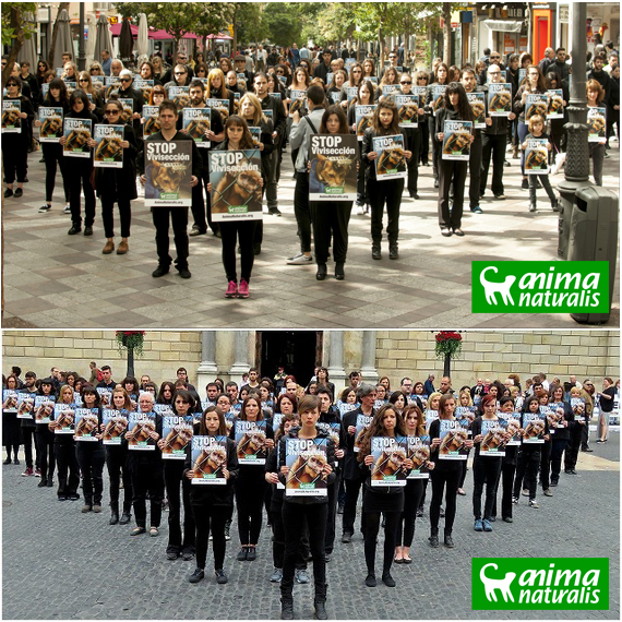 Madrid y Barcelona se manifestaron contra los experimentos en animales