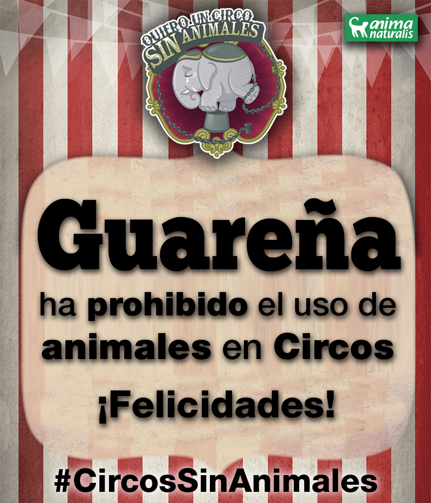 Guareña: ciudad respetuosa y amiga de los animales