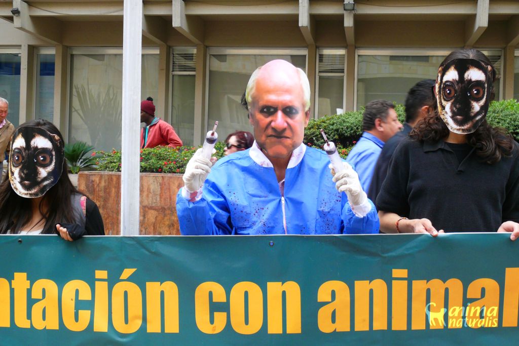 Bogotá se manifestó en contra de la experimentación en animales por parte de Patarroyo
