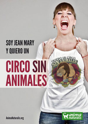 San Cristóbal a punto de prohibir el uso de animales en circos