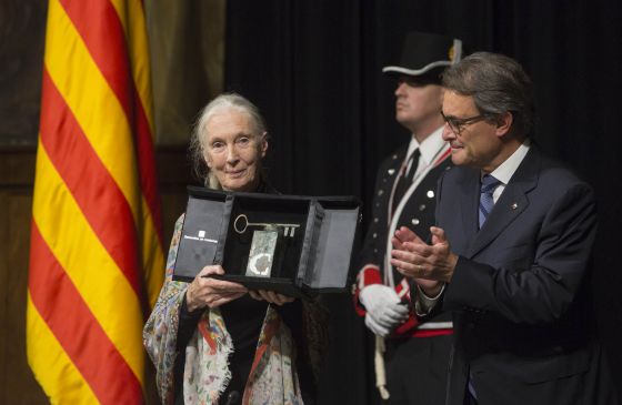 La primatóloga Jane Goodall recibe el Premi Internacional de Catalunya