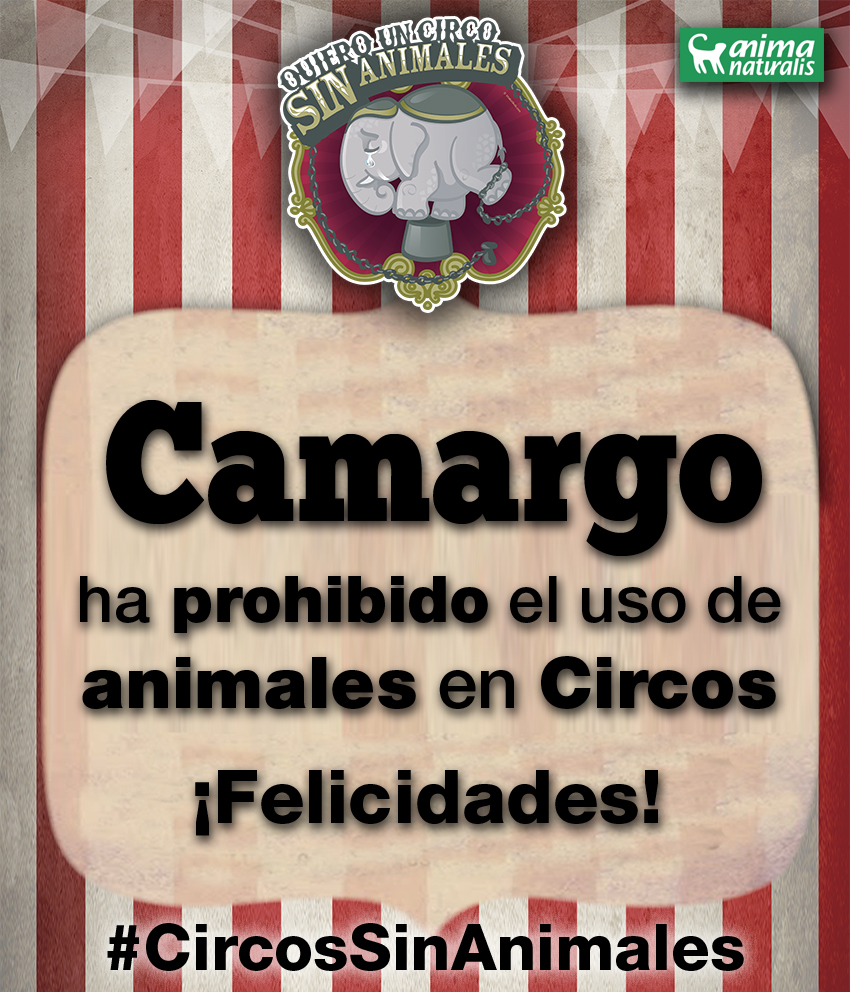 ¡Camargo se declara libre de circos con animales!