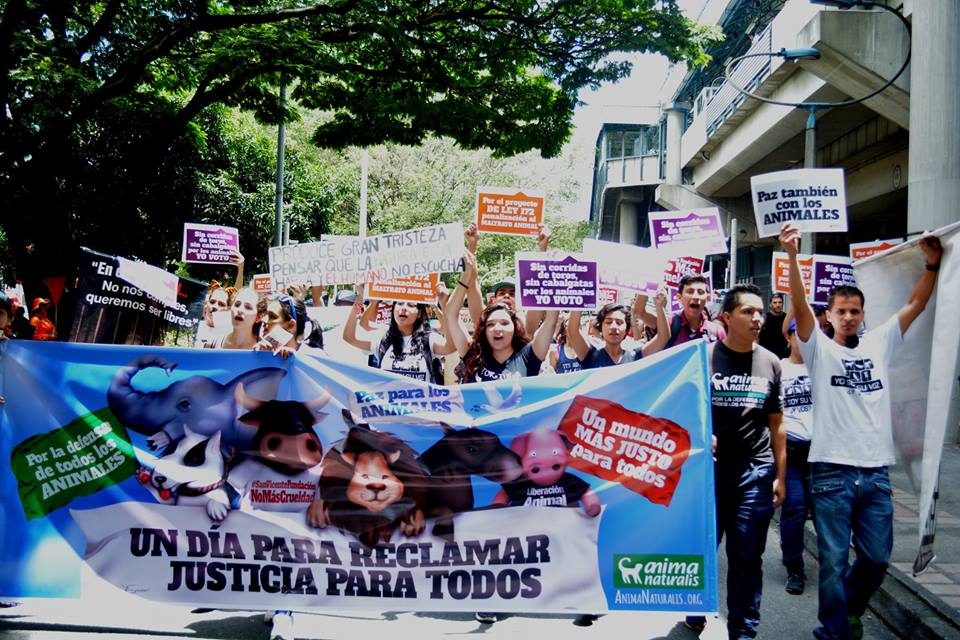 Medellín conmemoró el Día Mundial de los Animales