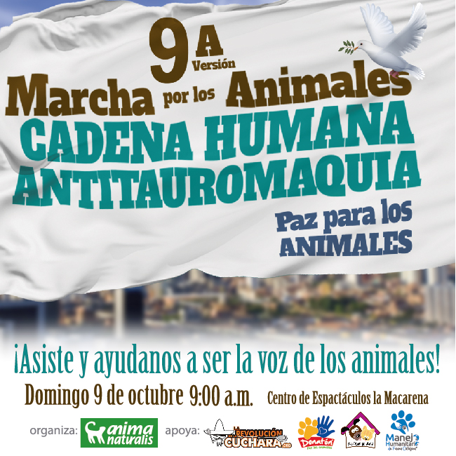 Este domingo 9 de octubre Medellín marchará por los animales