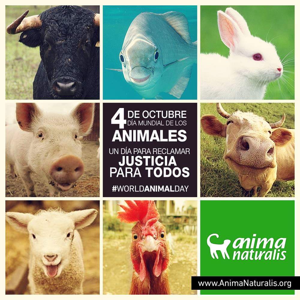 Bogotá y Medellín celebrarán el Día Mundial de los Animales