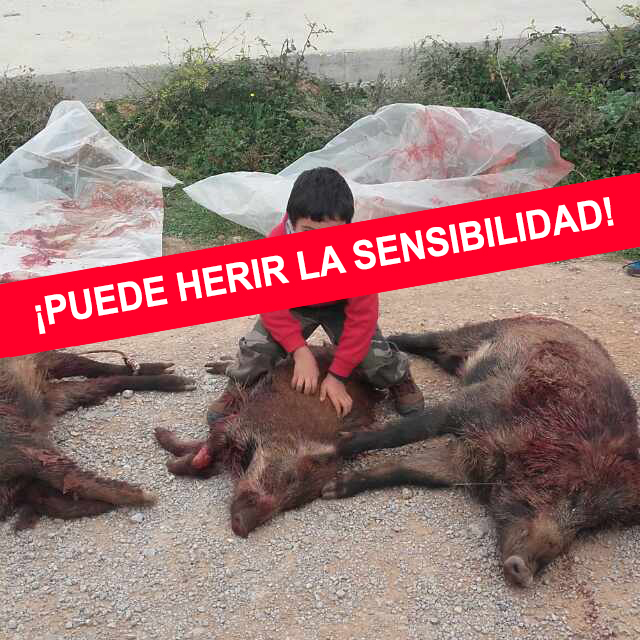 Brutal vídeo: AnimaNaturalis denuncia a un cazador por llevar a sus hijos menores de caza