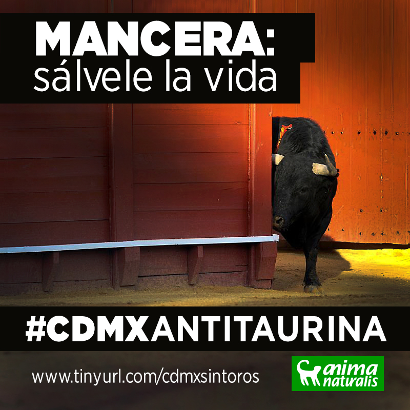 ¡Queremos una #CDMXAntitaurina!
