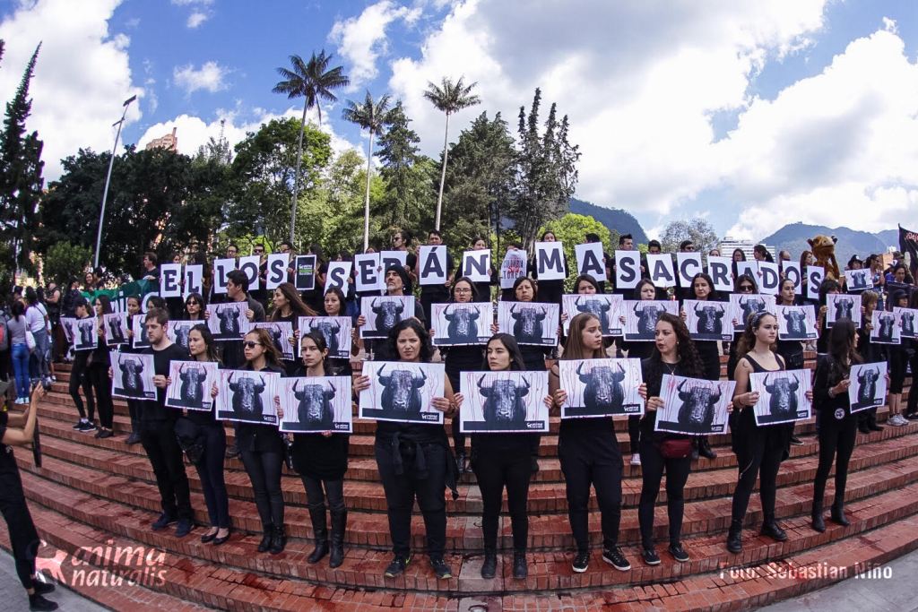 Activistas hicimos protesta pacífica por una Colombia Sin Toreo