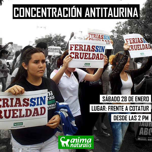 Participa en la Manifestación por Ferias Sin Crueldad en San Cristóbal