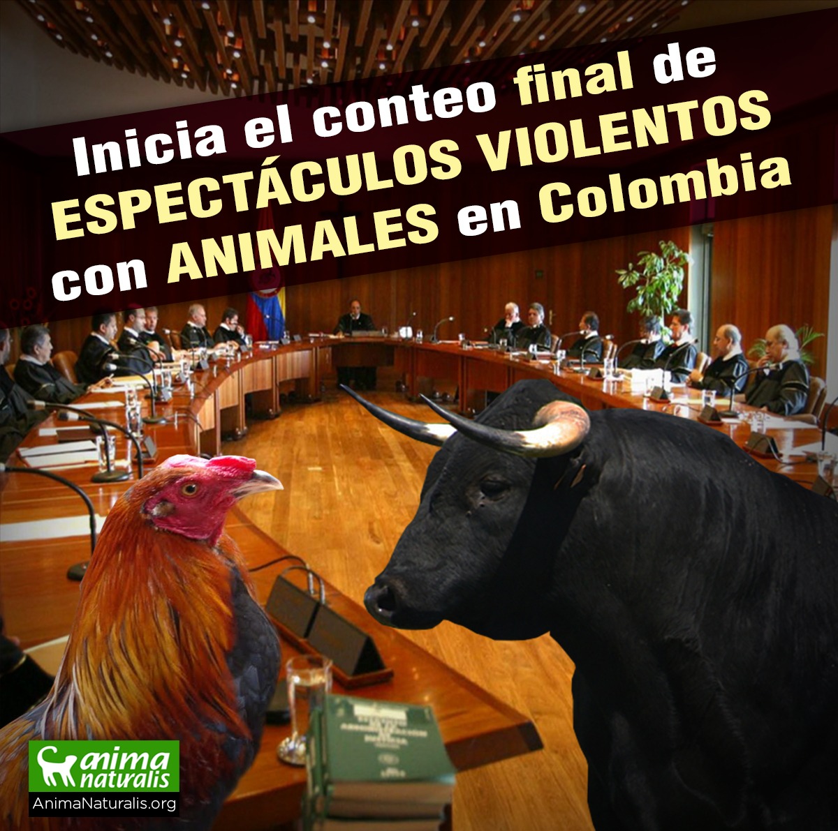 Inicia el conteo final de la corridas de toros en Colombia