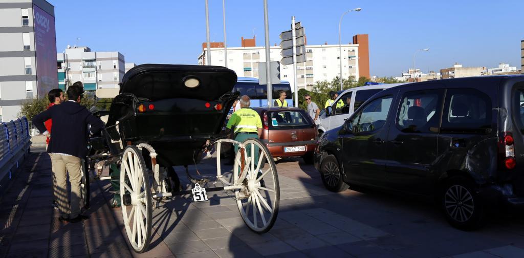 Un caballo de galera desbocado choca contra siete coches en Palma