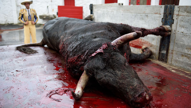 Gobierno recurre 'in extremis' la ley de toros de Baleares para que continúen las corridas con muerte 
