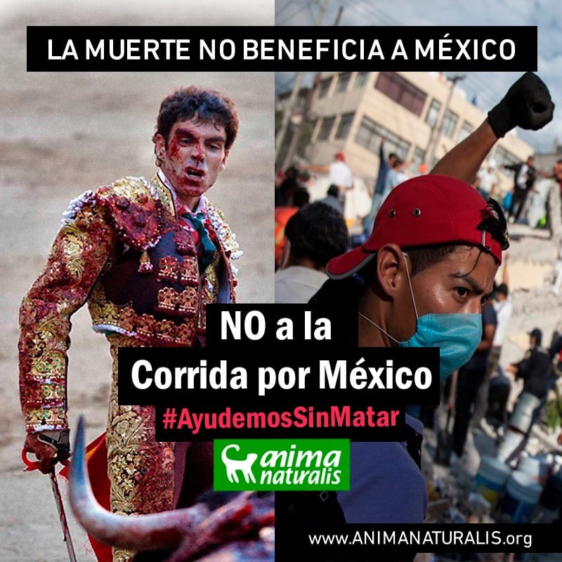 Ayudemos sin matar: No a la “Corrida Por México”