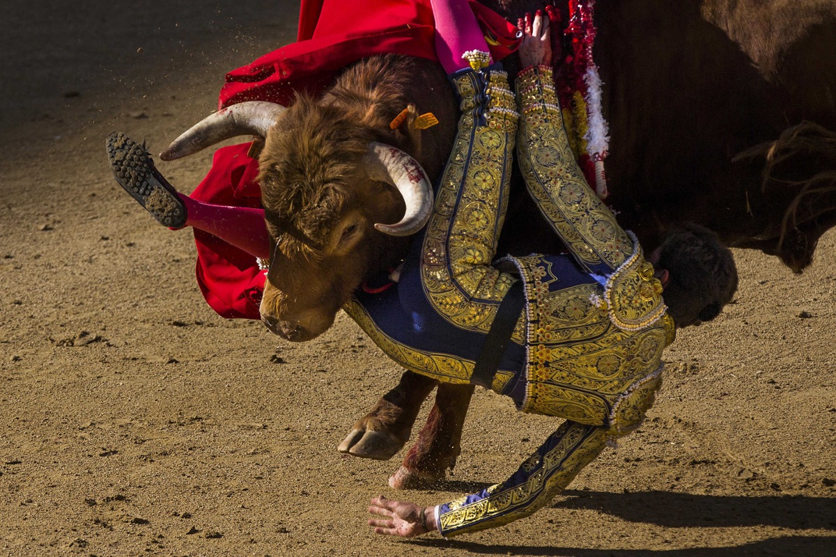 Entra en vigor la ley que prohíbe torturar y matar toros en Baleares