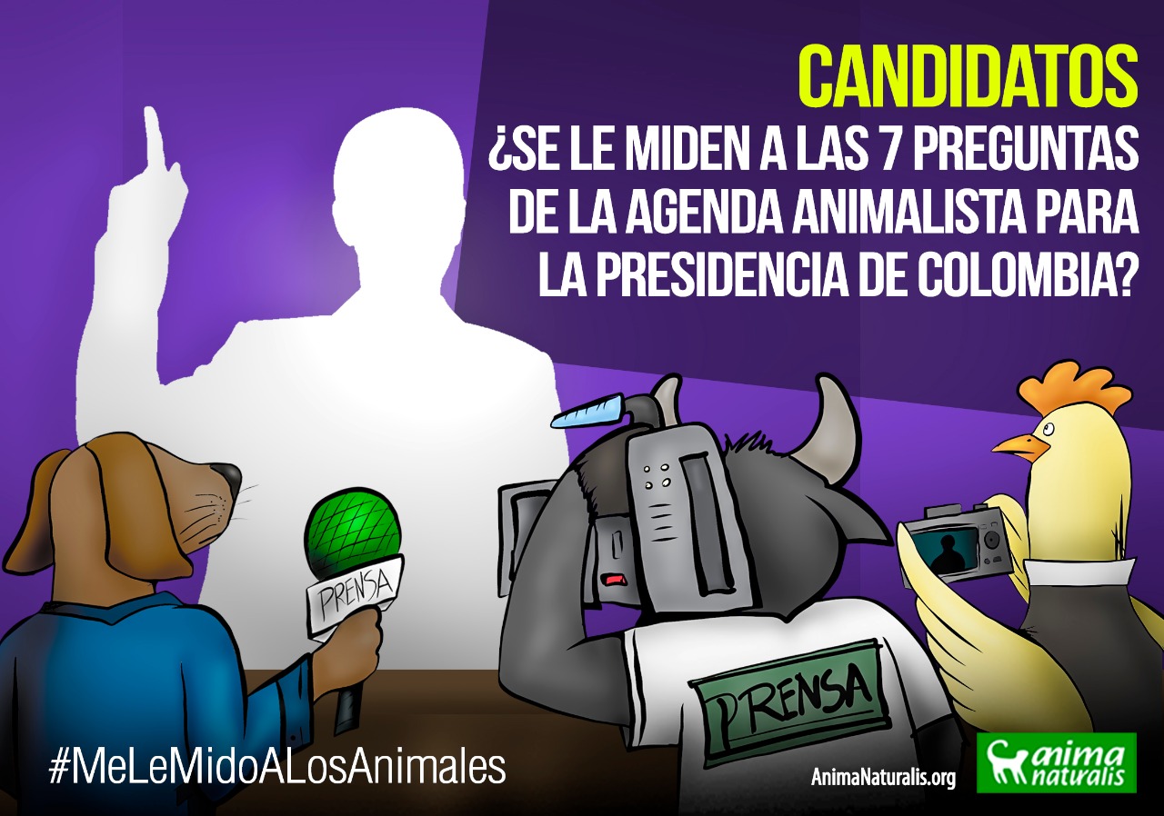 Candidatos, ¿se le miden a las 7 preguntas de la agenda animalista para la Presidencia de Colombia?