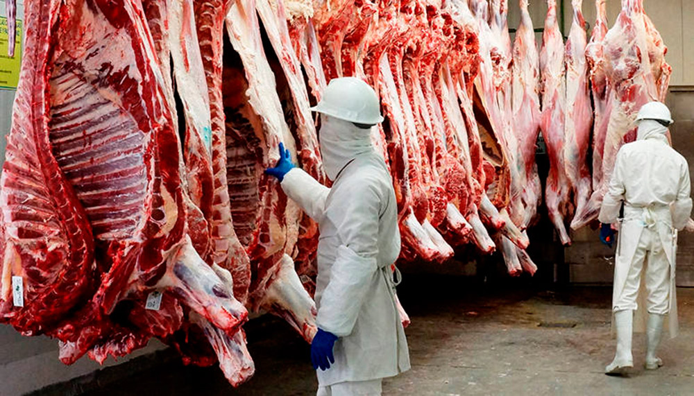 Clembuterol: el "secreto" de la carne contaminada en México