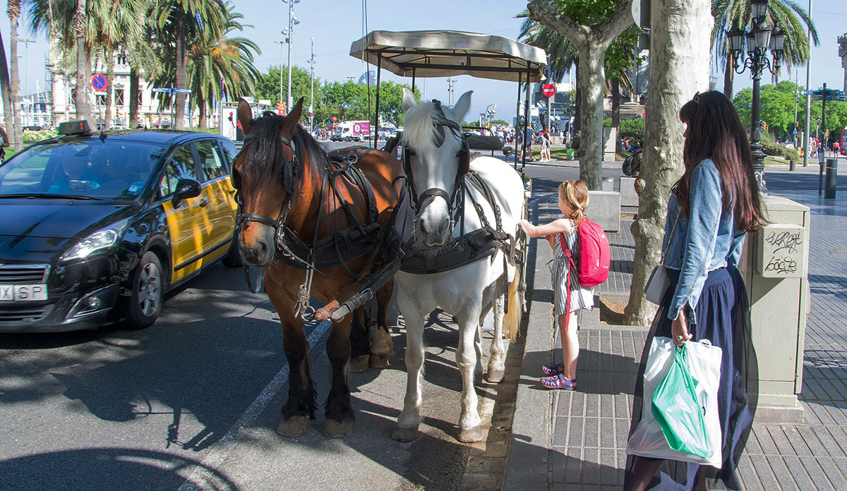 Adiós a las carrozas de caballos en Las Ramblas de Barcelona
