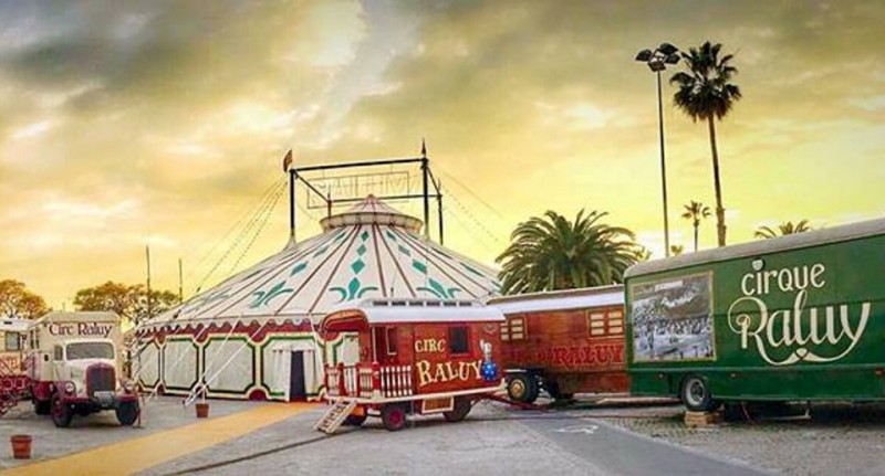 75 por ciento de españoles ya vive en territorio libre de circos con animales salvajes. 