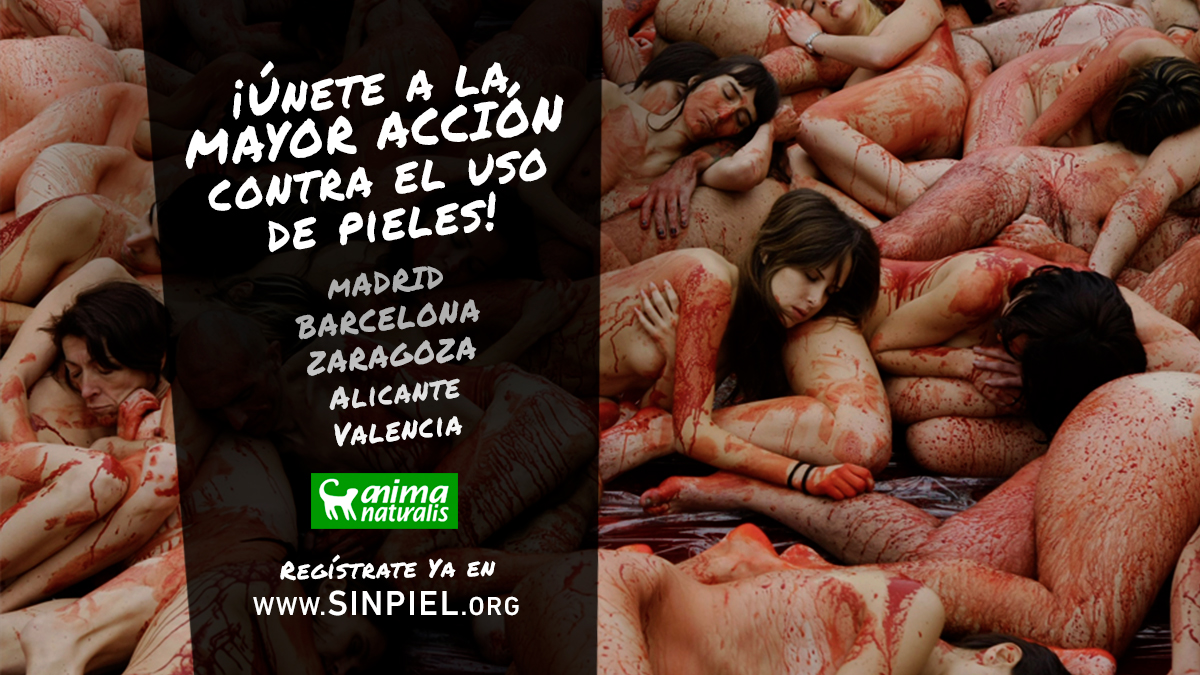 Únete a la más grande protesta contra el uso de pieles en Zaragoza