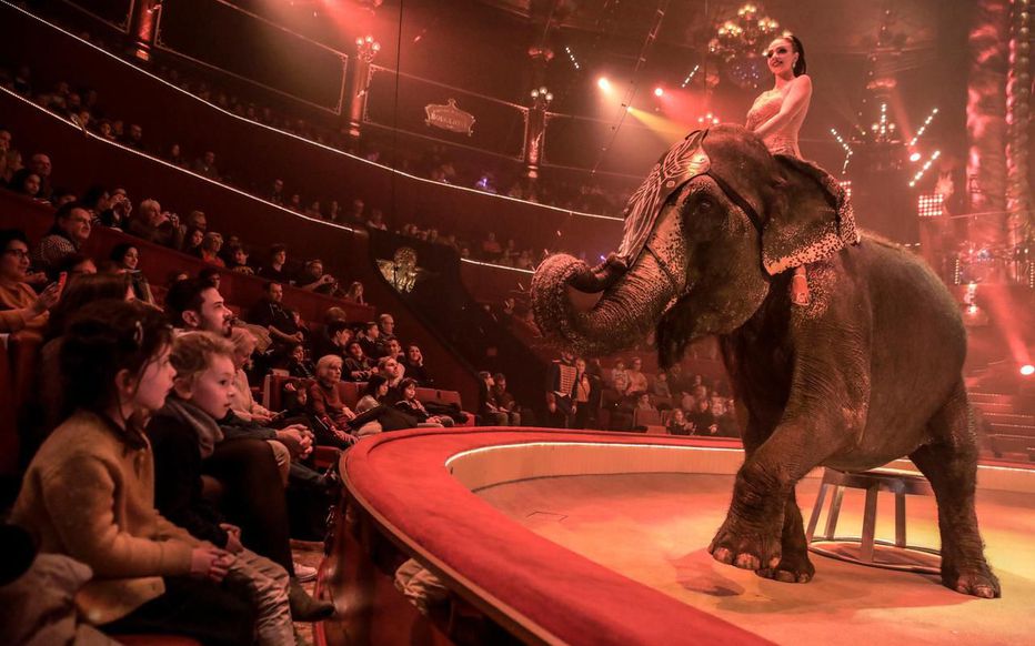 París marca el fin de los animales salvajes en los circos