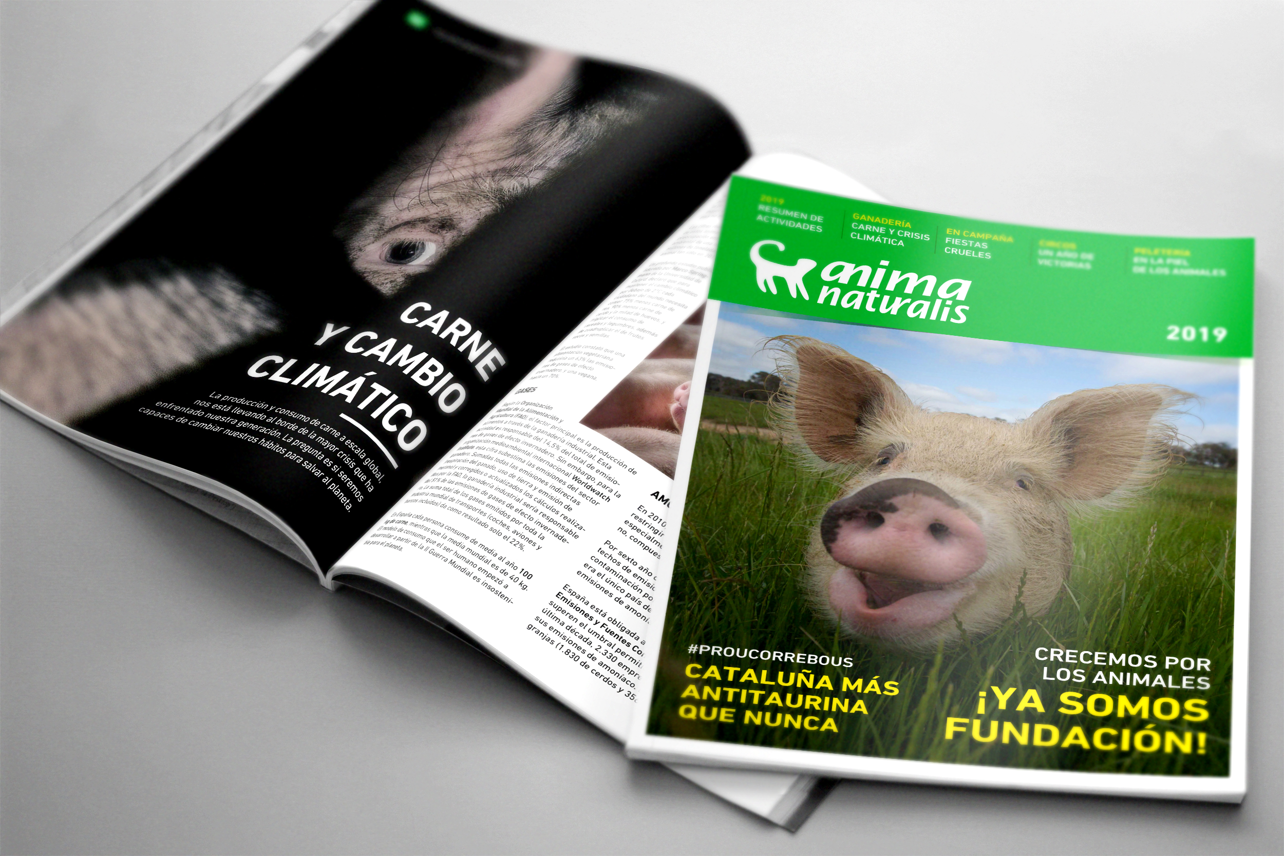 Descarga nuestra revista oficial que resume un 2019 por los animales