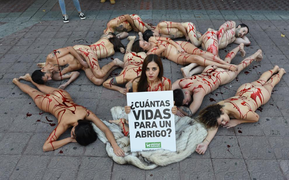 Activistas se ponen en la piel de los animales en Zaragoza