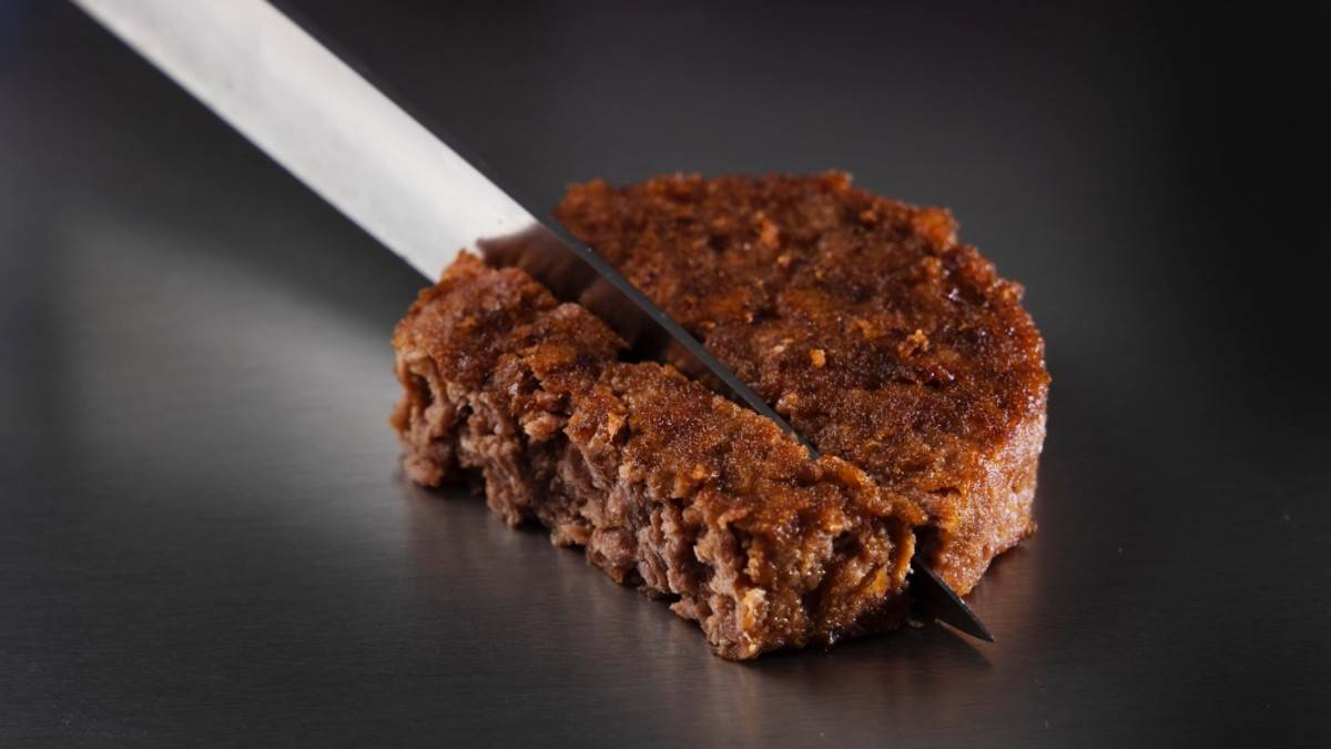 Gobierno español invierte en empresa de carne completamente vegetal
