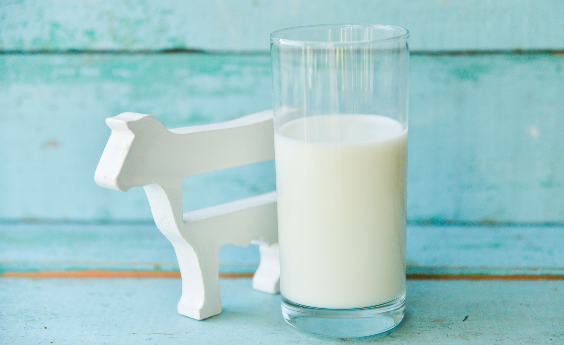 El New England Journal of Medicine concluye que los lácteos son innecesarios y potencialmente dañinos