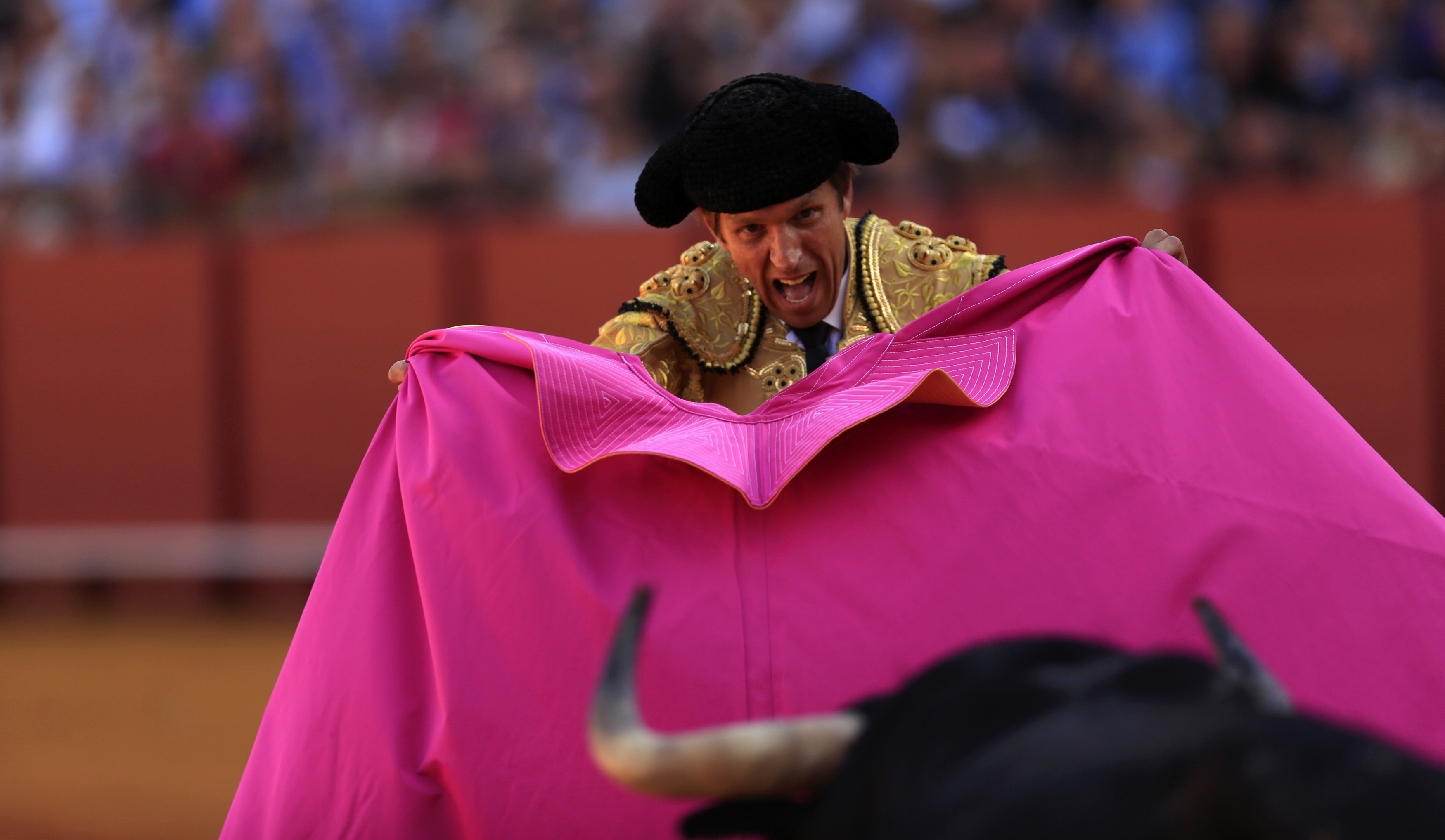 AnimaNaturalis exposes the cruelty of bullfighting
