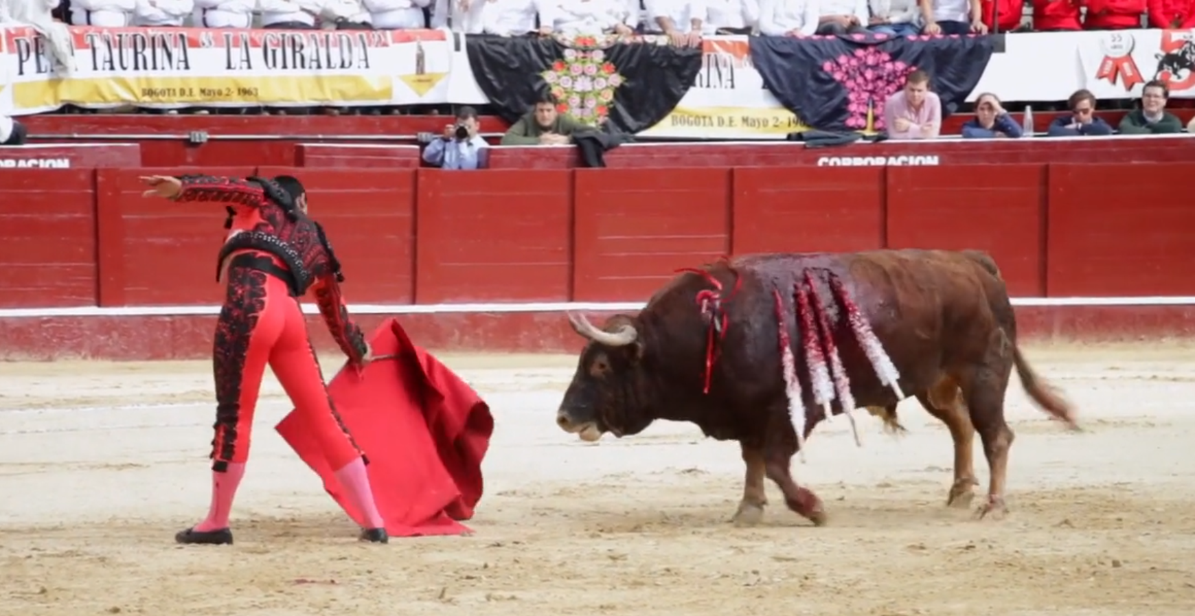 Vuelve al debate la prohibición de las corridas de toros en Colombia