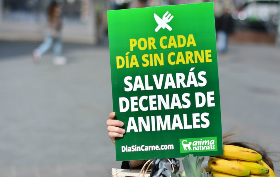 ¡Histórico! Bogotá declara un día sin carne