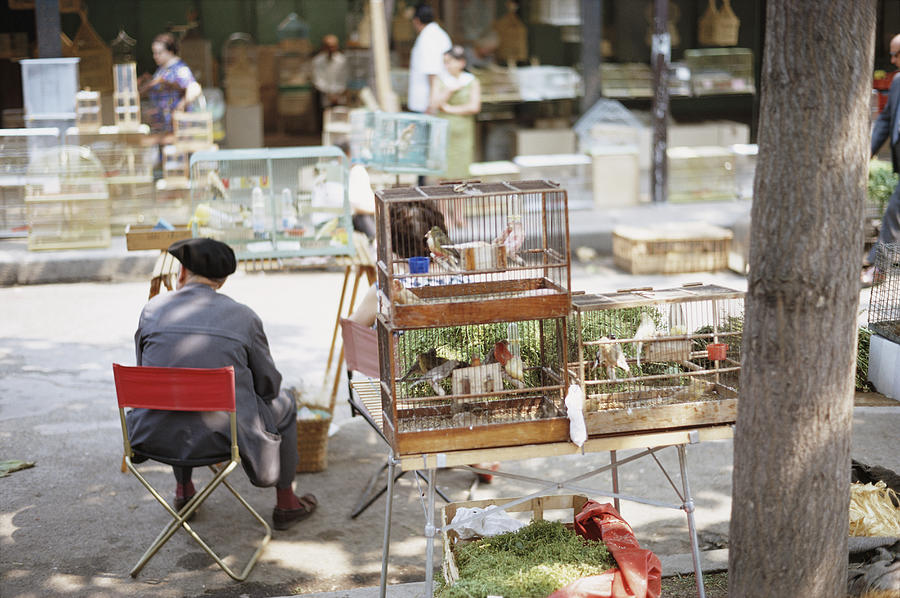 ¡Se prohíbe la venta de animales en el mercado Ile de la Cité en París!