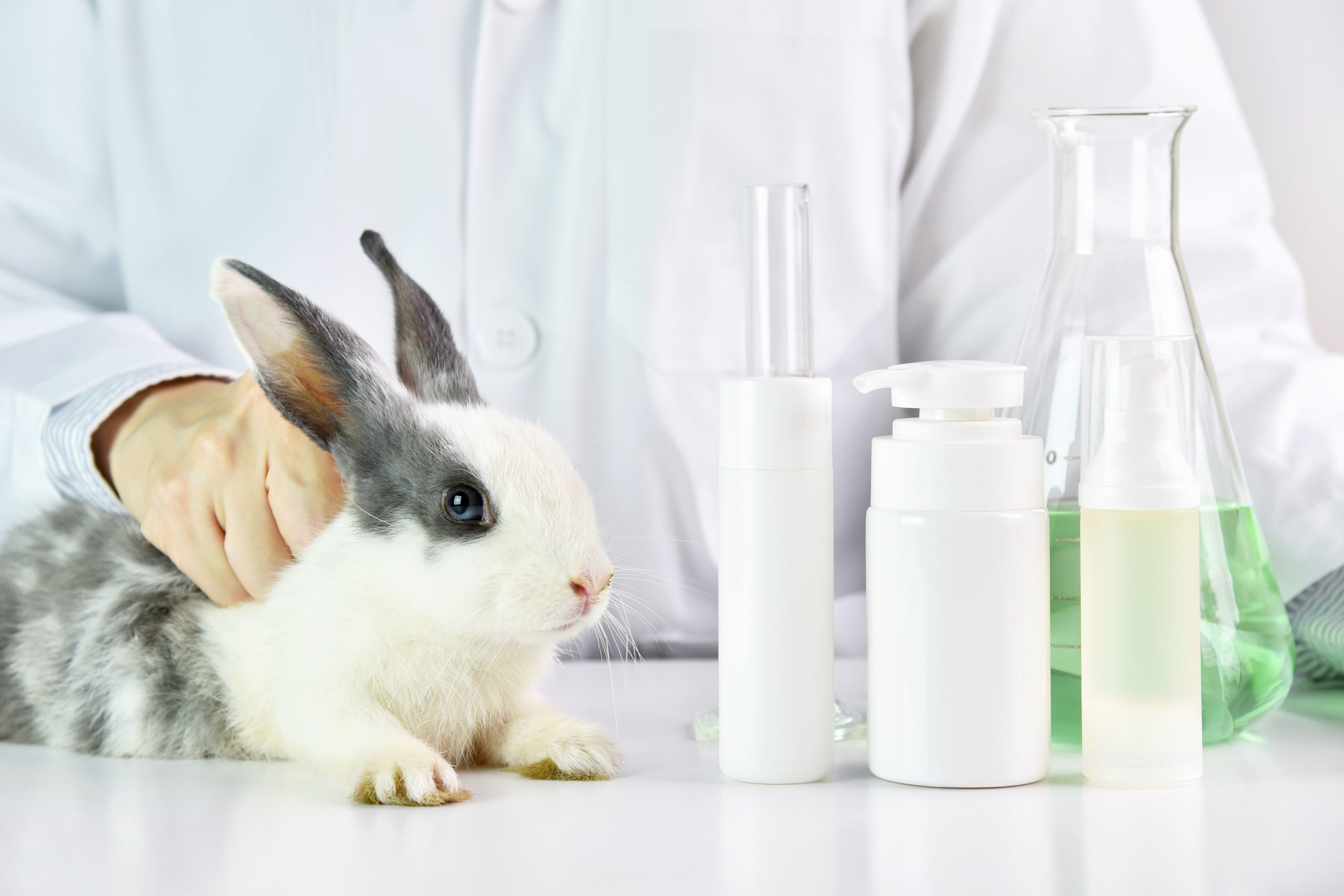 China dejará de probar en animales cosméticos importados