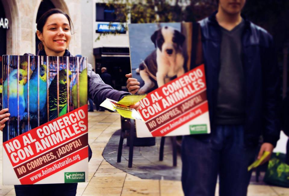 Acción de protesta en Barcelona: ¡No compres, adopta!