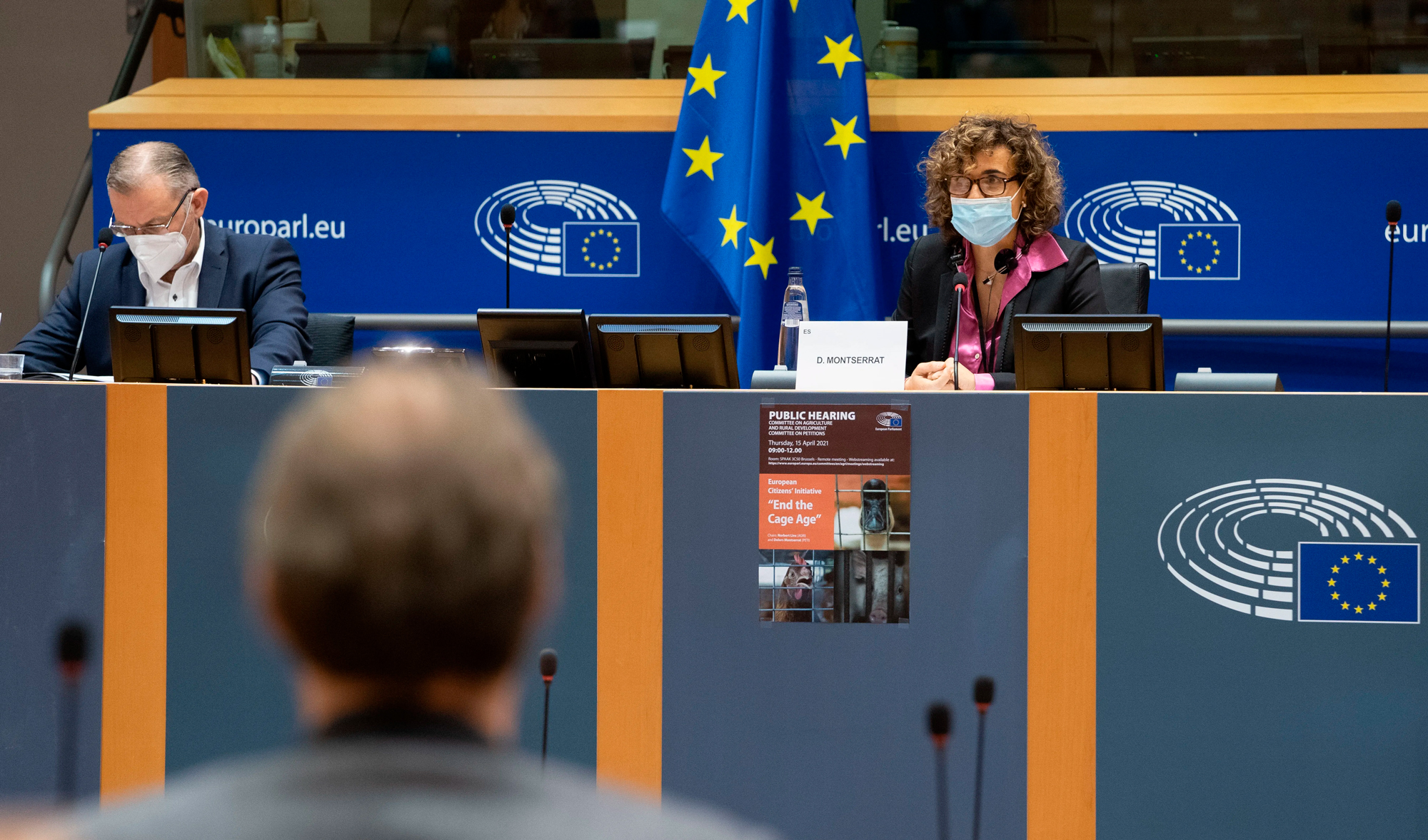 Parlamento Europeo celebra una audiencia sobre la prohibición de las jaulas en las granjas