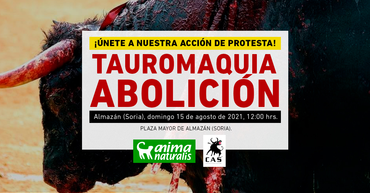 ¡Te esperamos en la acción antitaurina en Almazán, Soria!