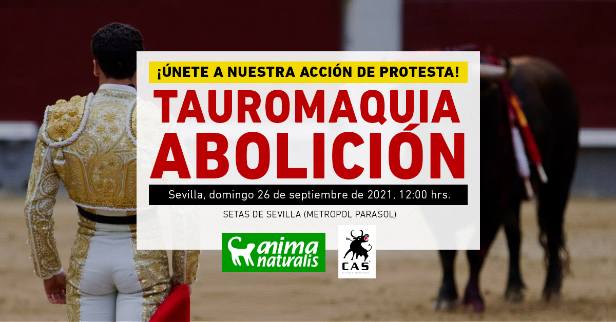 ¡Asiste a la acción antitaurina en Sevilla!
