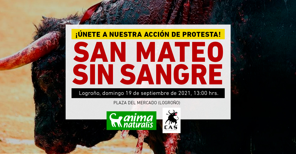 ¡Asiste a la acción por un San Mateo Sin Sangre, Logroño!