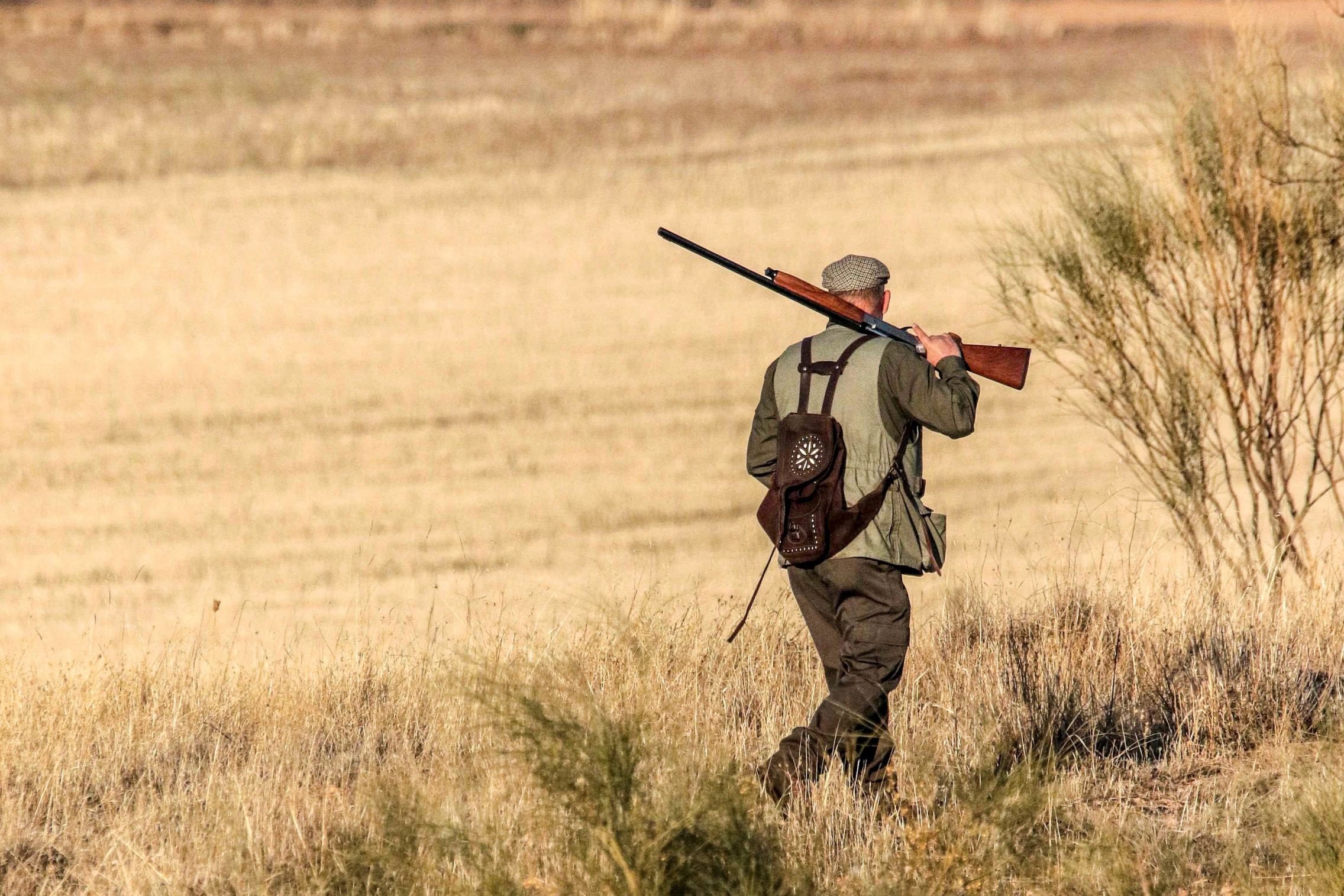 Las licencias de caza se desploman un 30% desde 2005