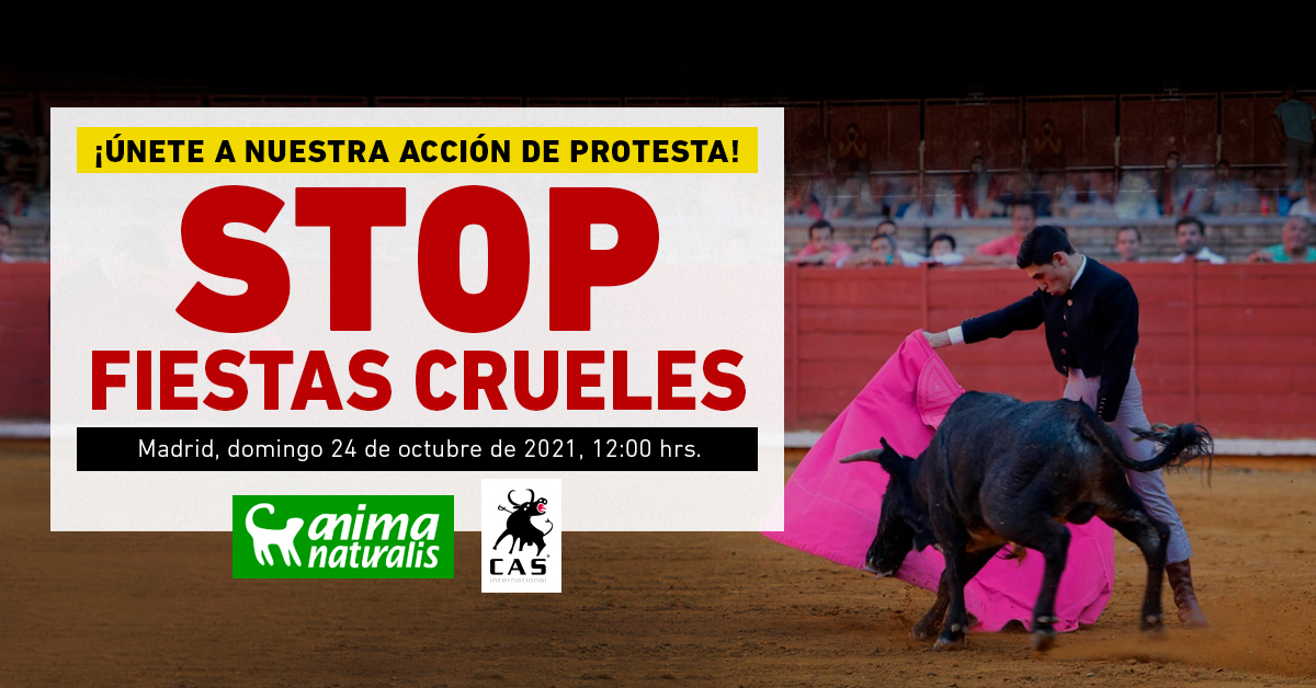¡Asiste a la concentración contra las fiestas crueles en Madrid! 